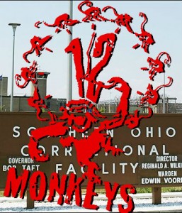 Sean Swain monkeys