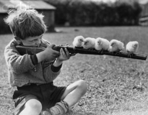 Chicks Line a Child's Gun