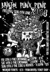 bristol punx picnic 2014 1