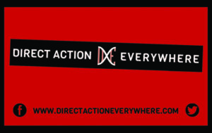 direct_action_everywhere