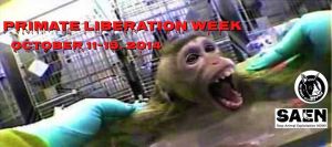 primate-liberation-week