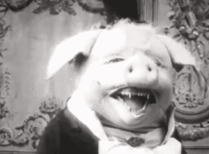 dancing-pig