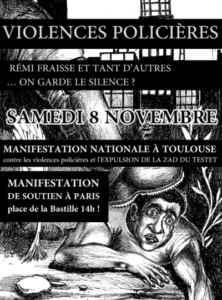 2014-11-08_Paris-Toulouse_manifsRemiFraisse-web-400x540