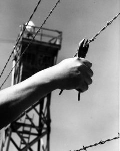 barbed-wire-hand_sm