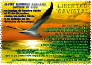 LIBERTAD-GAVIOTAweb