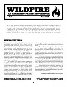 wildfire-1-791x1024