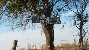 Lof-Rankilko-300x169