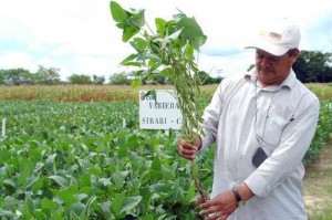 yucatan-anti-monsanto-e1446994851282