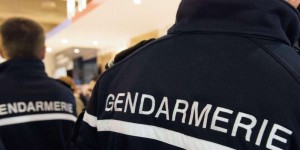 une-dizaine-de-gendarmes-ont-debarque-mercredi-matin-au_3407484_800x400