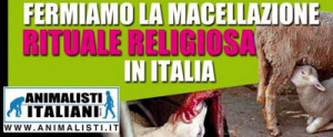 macellazione-animalisti-italiani