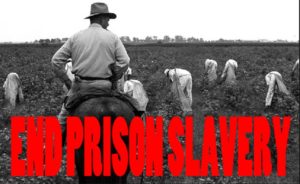 EDITPrison-Slavery-Field-2-1024x627